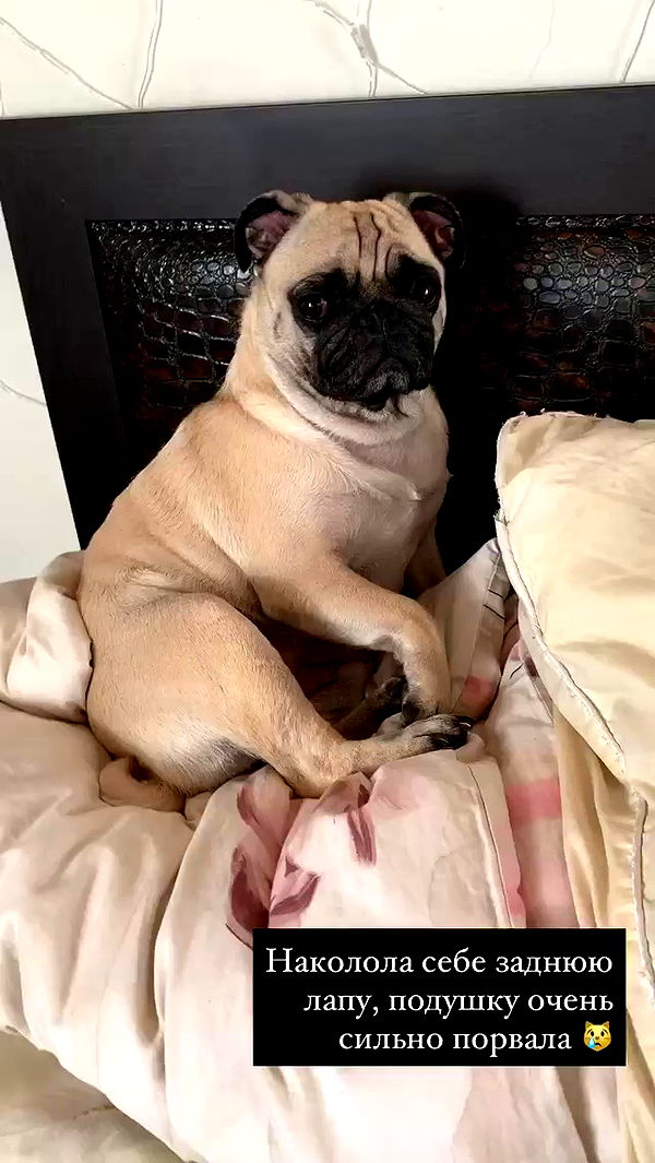 nyityam archive video preview