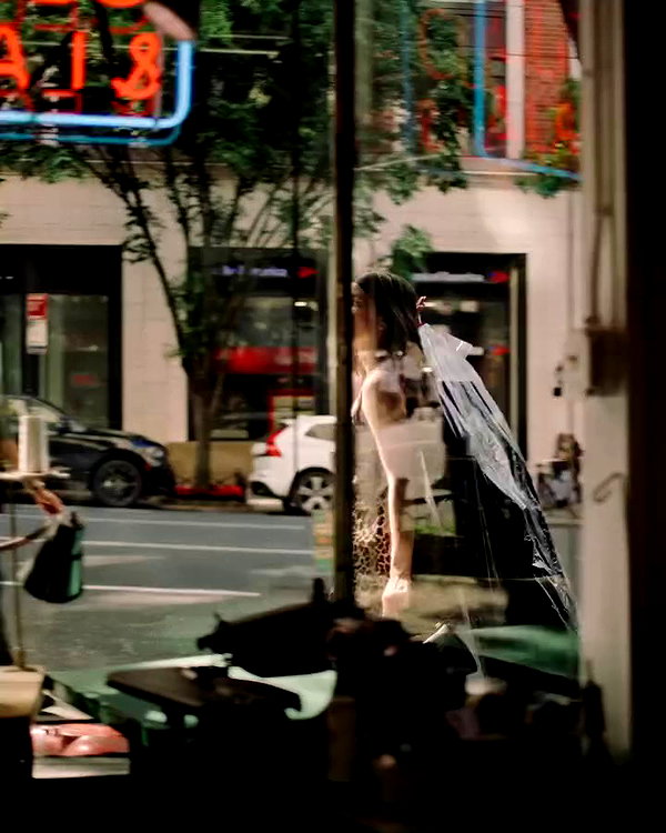 anthropologie archive video preview