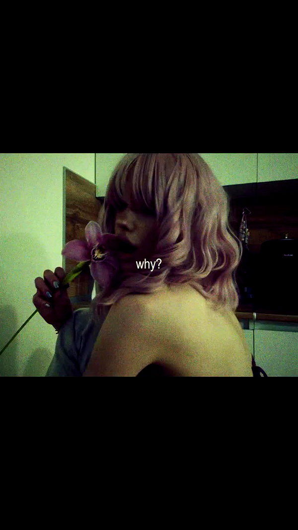 hoodifruit archive video preview