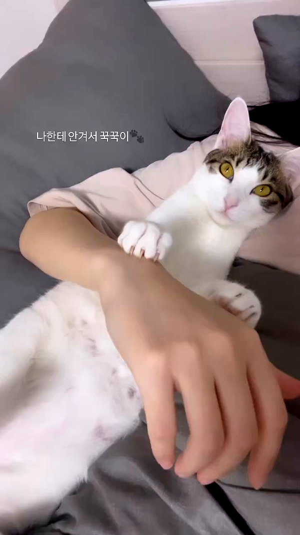 yuna_1_27 archive video preview