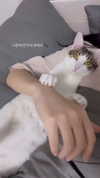 yuna_1_27 Altpins Profile Picture