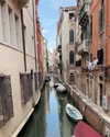 edvarda_ Altpins Profile Picture