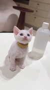 jiw_____n Altpins Profile Picture