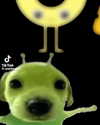 catl0verr69 Altpins Profile Picture