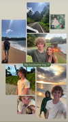 lousyfaerie Altpins Profile Picture