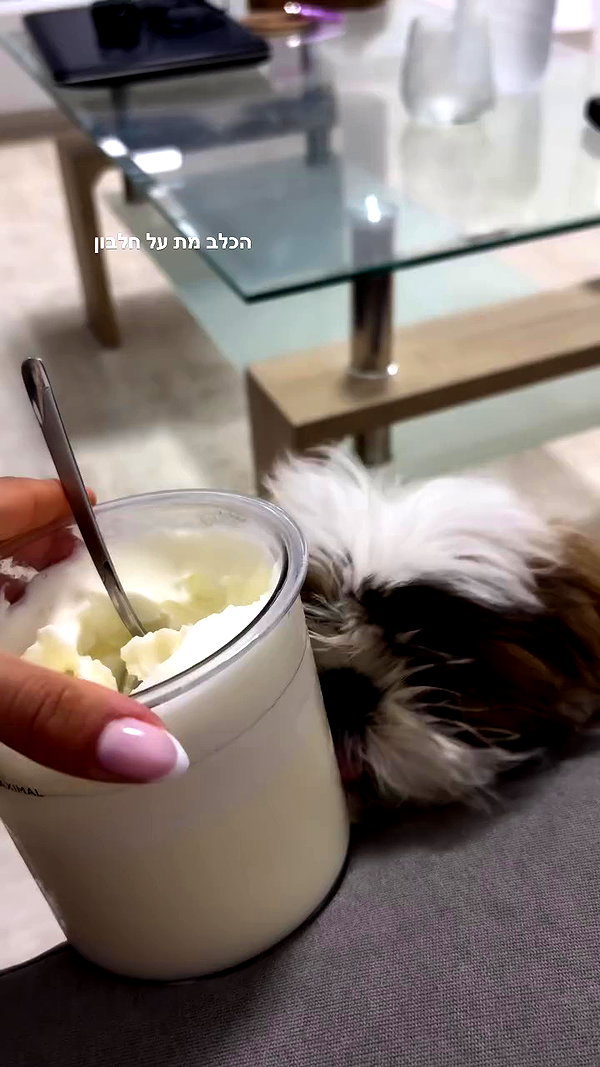 noammalka___ archive video preview