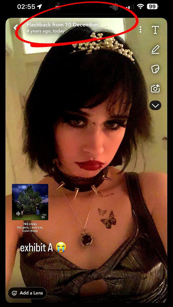 wivvymivvy archive video preview