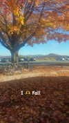 olivia.bolgerr Altpins Profile Picture