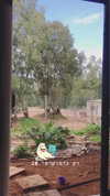 evasela__ Altpins Profile Picture