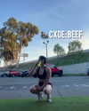 leanbeefpatty Altpins Profile Picture