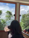 indra0102_ Altpins Profile Picture