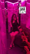 ancideja Altpins Profile Picture