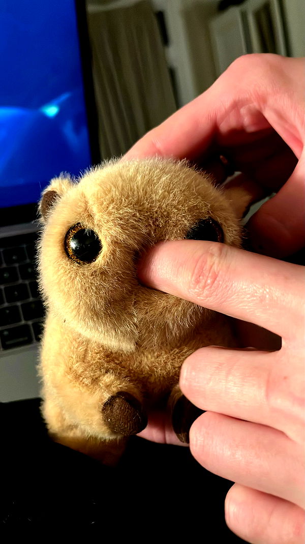 mayamorgannnnnn archive video preview