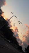 _ann.kim_ Altpins Profile Picture