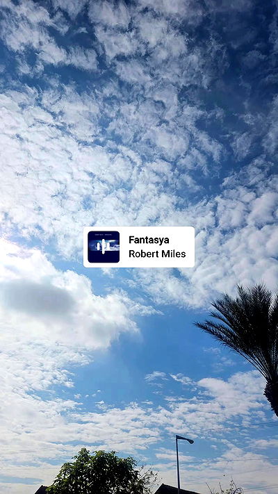 avital_1010.2003 avital_1010.2003 archive video