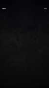 noa2000oooo Altpins Profile Picture