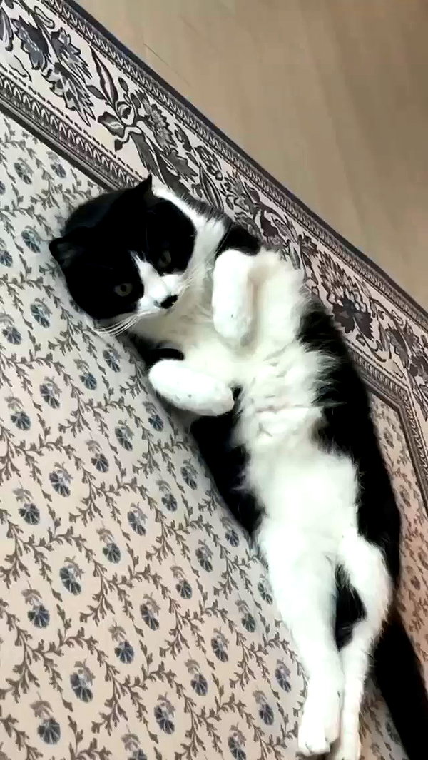 yuna_1_27 archive video preview