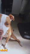 _mashachka_ Altpins Profile Picture