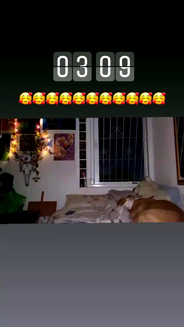 _mashachka_ archive video preview
