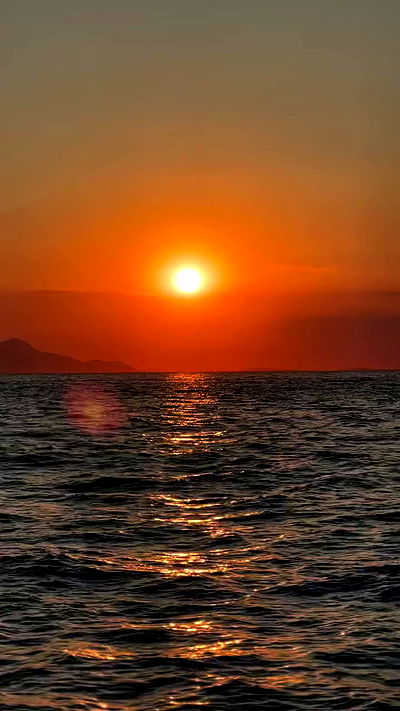 taylor.creeden taylor.creeden archive video