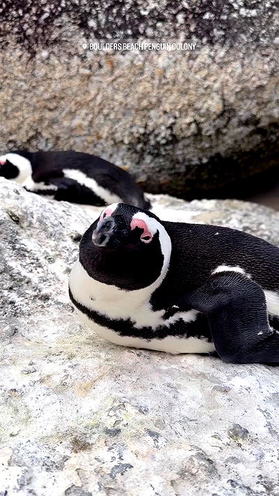 taylor.creeden taylor.creeden archive video