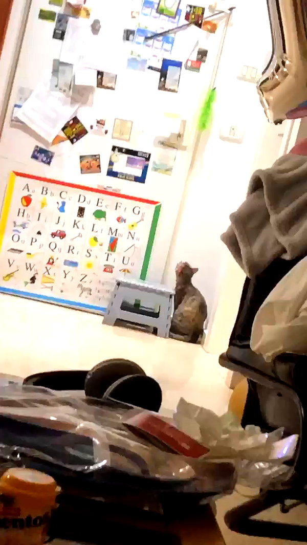 notchicore archive video preview