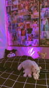 jadelaverne Altpins Profile Picture