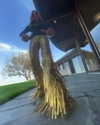 jenniferaniston Altpins Profile Picture