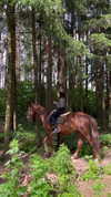 veroni22ka Altpins Profile Picture