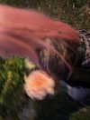 d3ad.doll Altpins Profile Picture