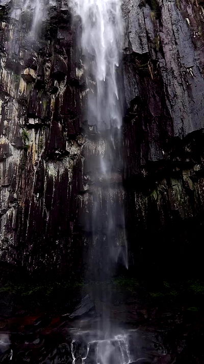 taylor.creeden taylor.creeden archive video