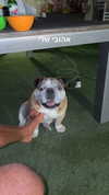 hagarschubert Altpins Profile Picture