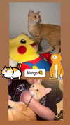 pikakaty Altpins Profile Picture
