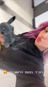 nicole_ac Altpins Profile Picture