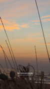 tinapavlov.sky Altpins Profile Picture