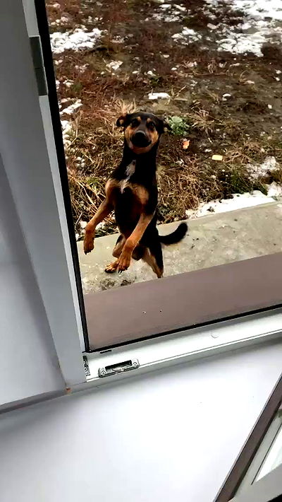 nyityam nyityam archive video