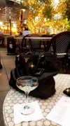 elizabethcampbelljones Altpins Profile Picture
