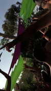 _lironatias Altpins Profile Picture