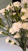 miikheeva_stasiiya Altpins Profile Picture