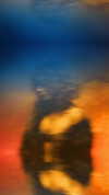 cannonstheband Altpins Profile Picture