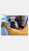 rachelchaleff Altpins Profile Picture