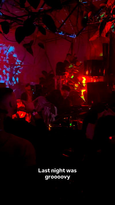 bakedsloths bakedsloths archive video