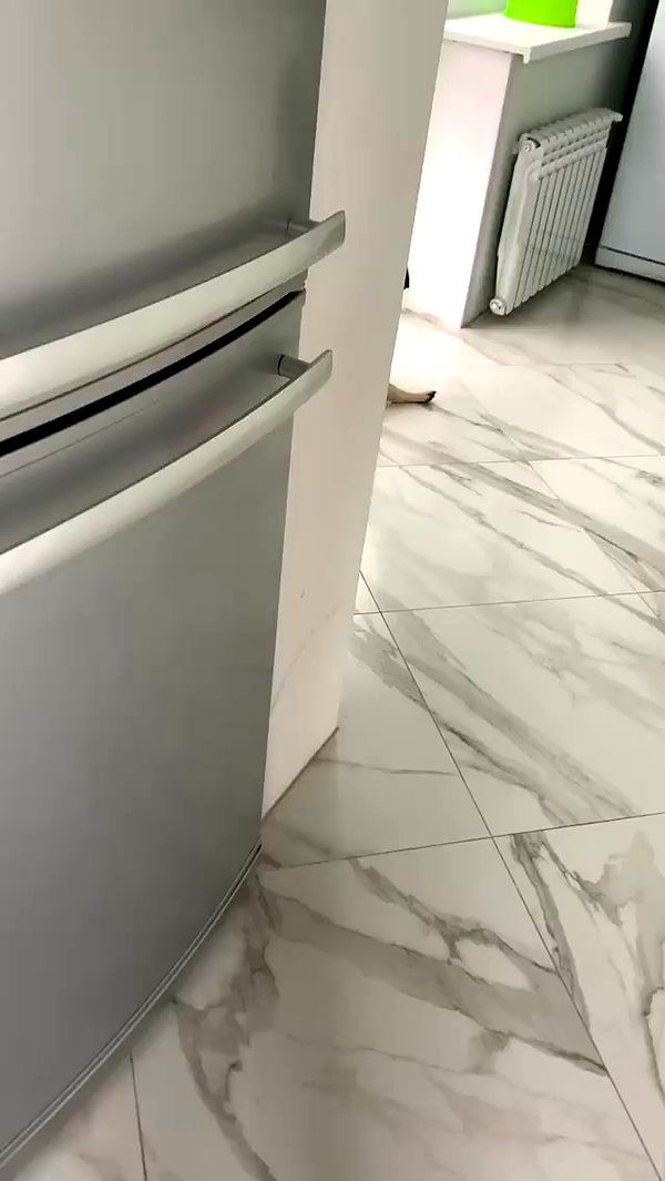 nyityam archive video preview