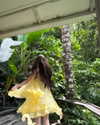 fair_mua Altpins Profile Picture