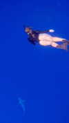 rouxroux.tv Altpins Profile Picture