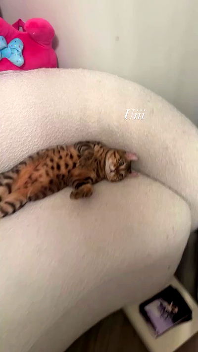 laurinchhhe laurinchhhe archive video