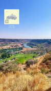 newpoort Altpins Profile Picture