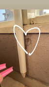 babynympho_archive Altpins Profile Picture
