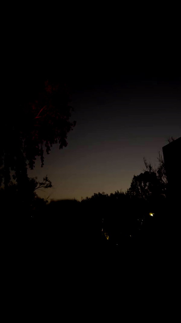 _.shelichka._ archive video preview