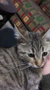 evasela__ Altpins Profile Picture